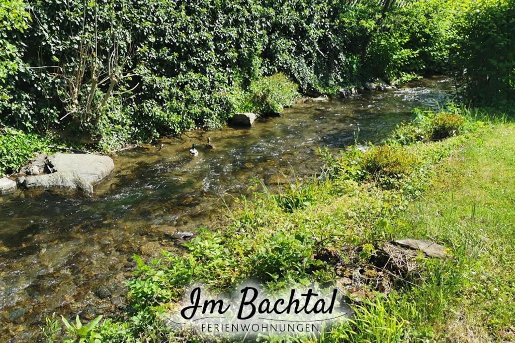 Ferienwohnung Im Bachtal Pommern Esterno foto